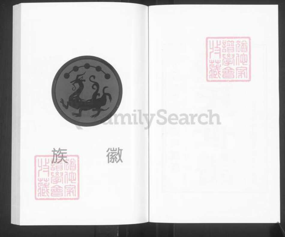 山东省淄博市桓台县新城镇张氏族谱-山东桓台大王庄张氏世谱.pdf电子版预览图2