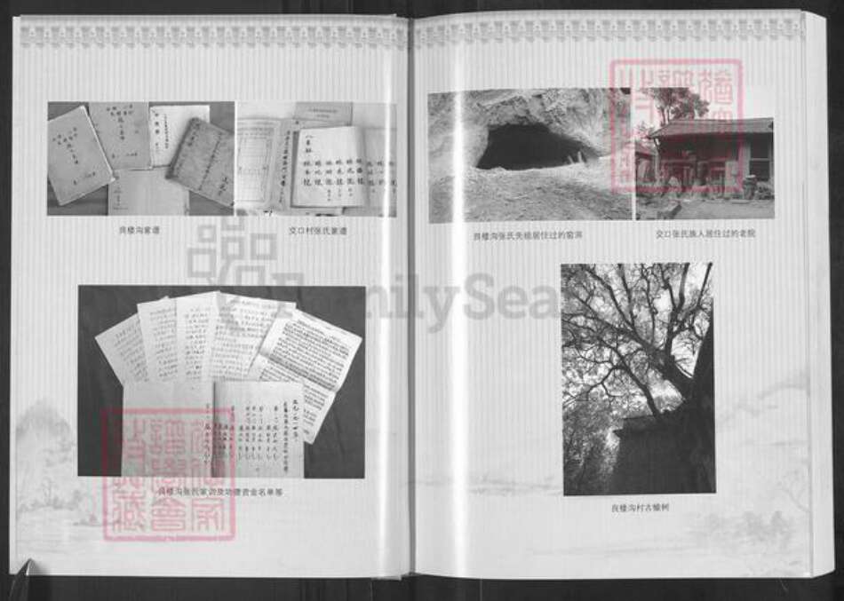 山西省长治市沁县段柳乡张氏族谱-良楼沟交口张氏族谱.pdf电子版预览图5