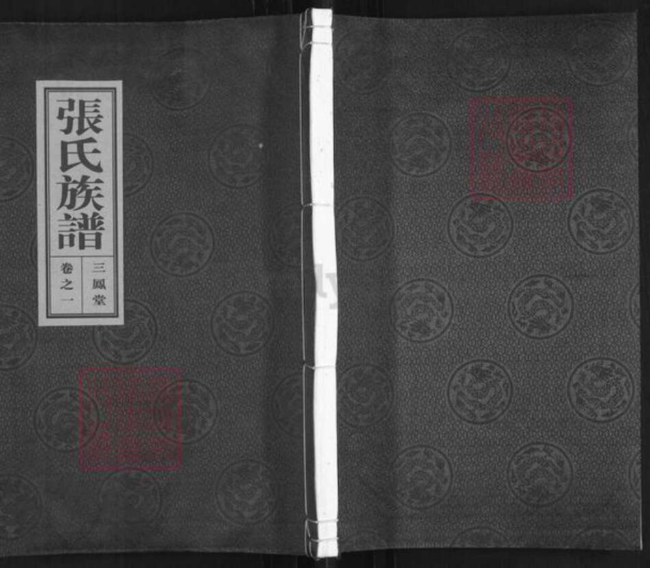 江苏省泰州市泰兴市张氏三凤堂族谱-张氏族谱.pdf电子版缩略图