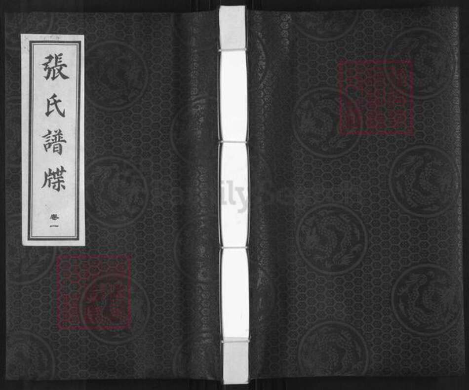 河北省沧州黄骅市常郭镇张氏族谱-张氏谱牒.pdf电子版缩略图