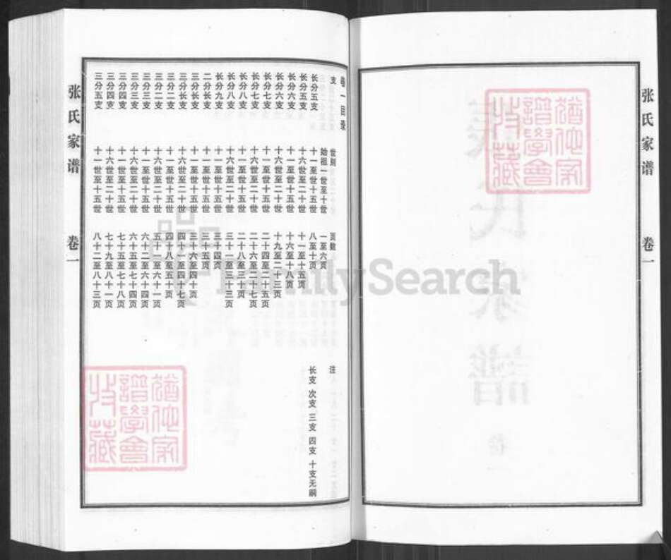 河北省沧州黄骅市常郭镇张氏族谱-张氏谱牒.pdf电子版预览图2