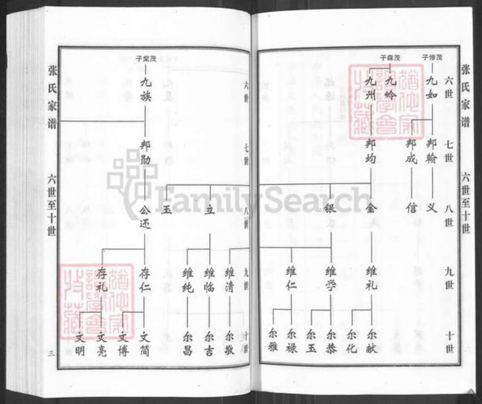 河北省沧州黄骅市常郭镇张氏族谱-张氏谱牒.pdf电子版预览图5
