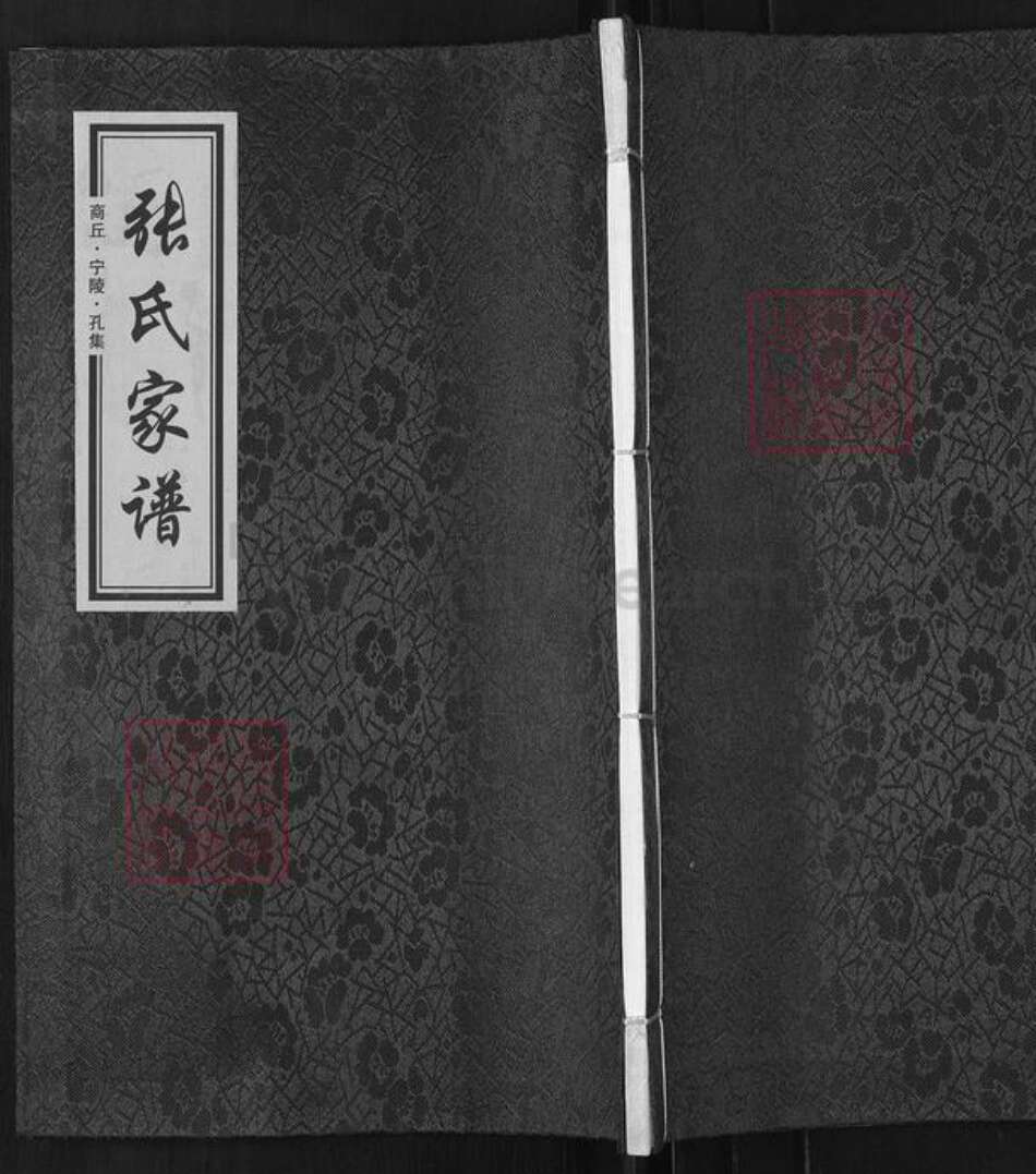 河南省商丘市宁陵县孔集乡张氏族谱-宁陵孔集张氏家谱.pdf电子版缩略图