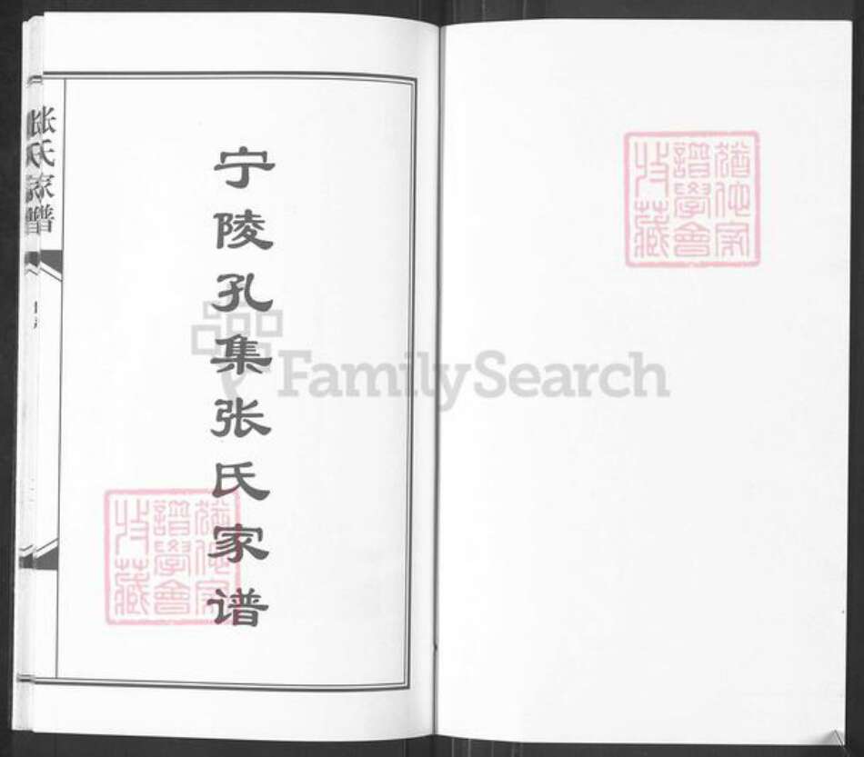 河南省商丘市宁陵县孔集乡张氏族谱-宁陵孔集张氏家谱.pdf电子版预览图1