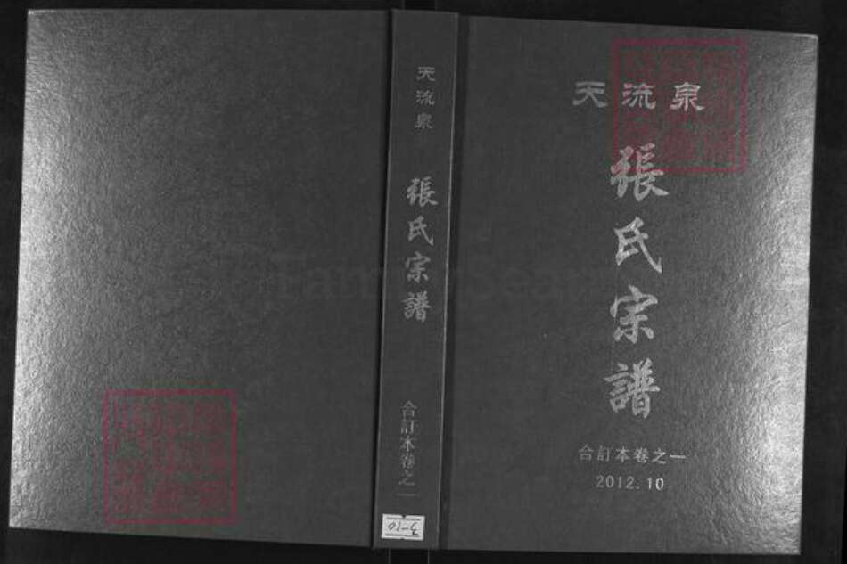 湖北省黄冈市麻城市张氏族谱-天流泉张氏宗谱.pdf电子版缩略图