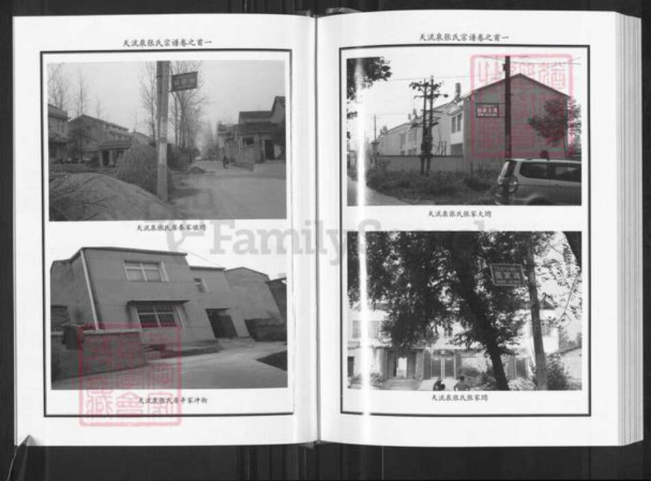 湖北省黄冈市麻城市张氏族谱-天流泉张氏宗谱.pdf电子版预览图5