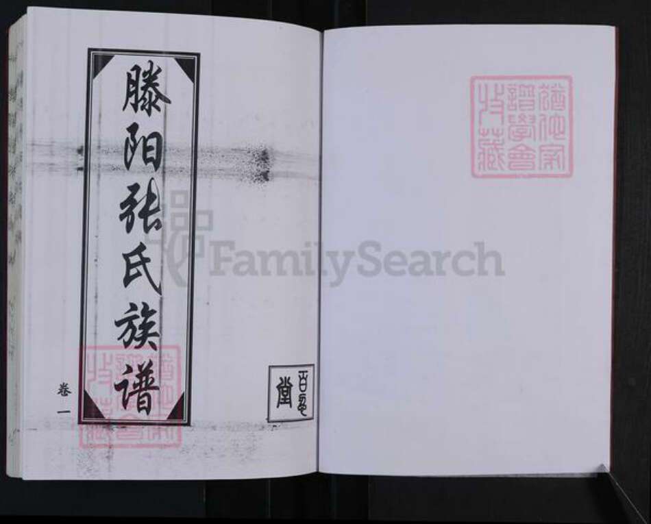 山东省枣庄市滕州市善南街道张氏白鸟堂族谱-滕阳张氏族谱.pdf电子版预览图1