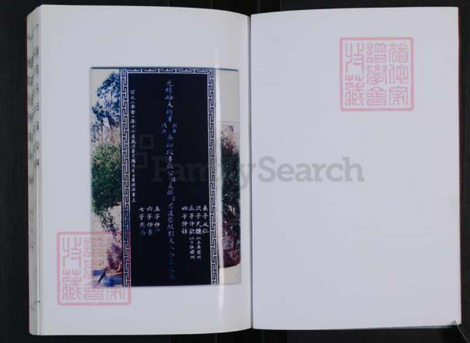 山东省枣庄市滕州市善南街道张氏白鸟堂族谱-滕阳张氏族谱.pdf电子版预览图3