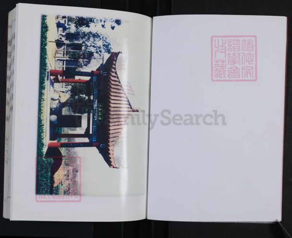 山东省枣庄市滕州市善南街道张氏白鸟堂族谱-滕阳张氏族谱.pdf电子版预览图4