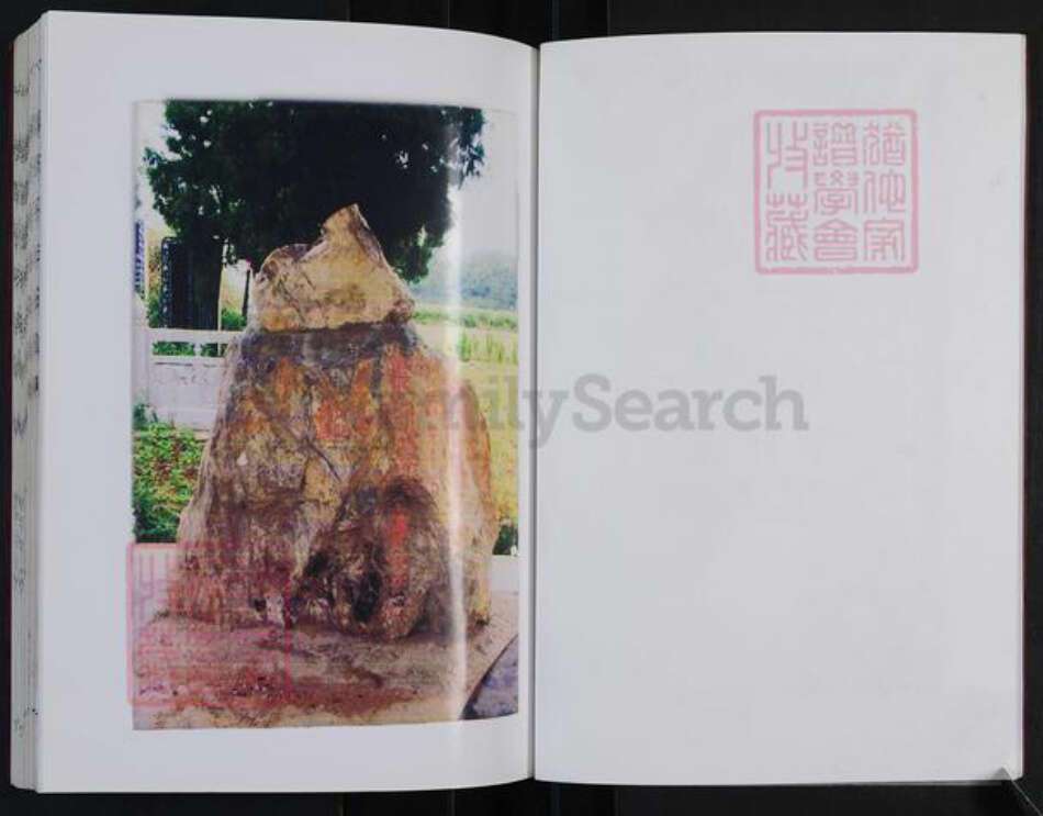 山东省枣庄市滕州市善南街道张氏白鸟堂族谱-滕阳张氏族谱.pdf电子版预览图5