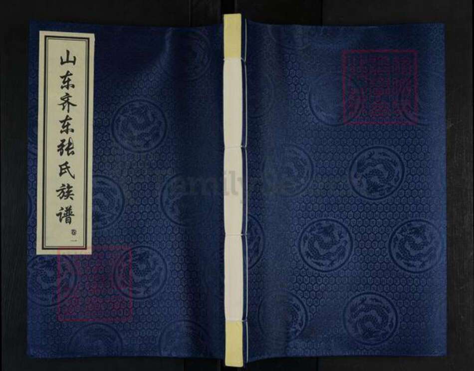 山东省滨州市邹平市台子镇张氏族谱-山东齐东张氏族谱.pdf电子版缩略图