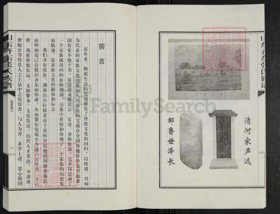 山东省滨州市邹平市台子镇张氏族谱-山东齐东张氏族谱.pdf电子版预览图3