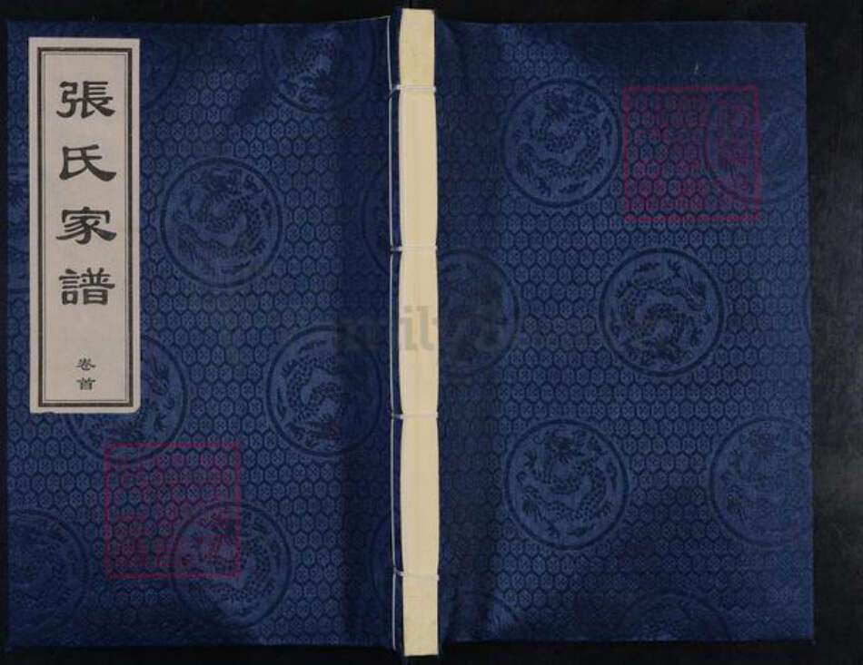 河北省沧州张氏族谱-张氏家谱.pdf电子版缩略图