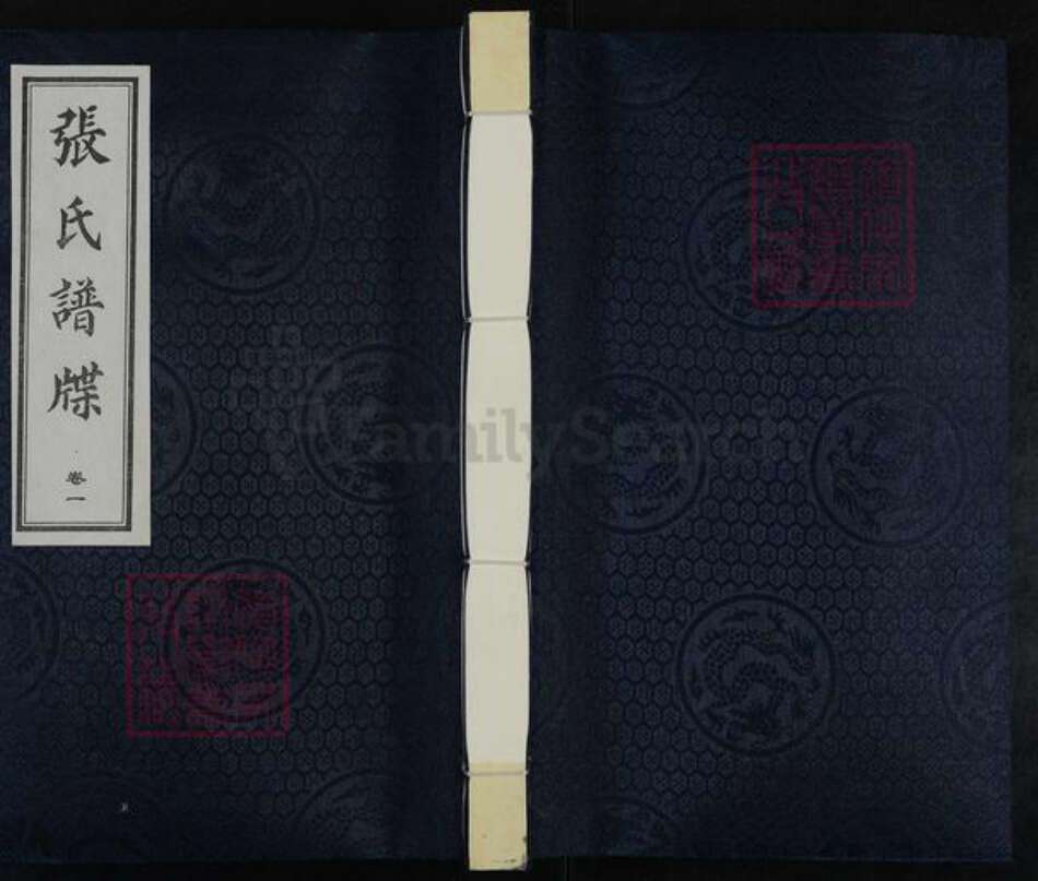 河北省沧州黄骅市常郭镇张氏族谱-张氏家谱.pdf电子版缩略图