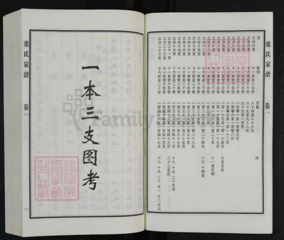 河北省沧州黄骅市常郭镇张氏族谱-张氏家谱.pdf电子版预览图3