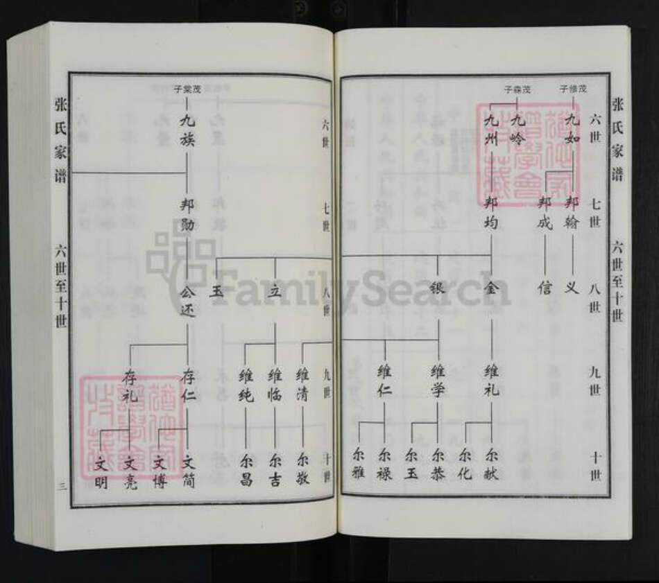 河北省沧州黄骅市常郭镇张氏族谱-张氏家谱.pdf电子版预览图5