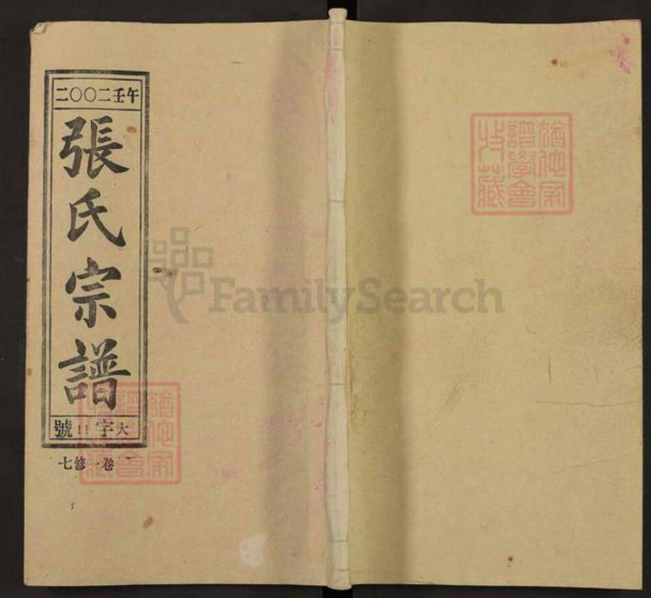 安徽省安庆市桐城市双港镇张氏族谱-张氏宗谱.pdf电子版缩略图