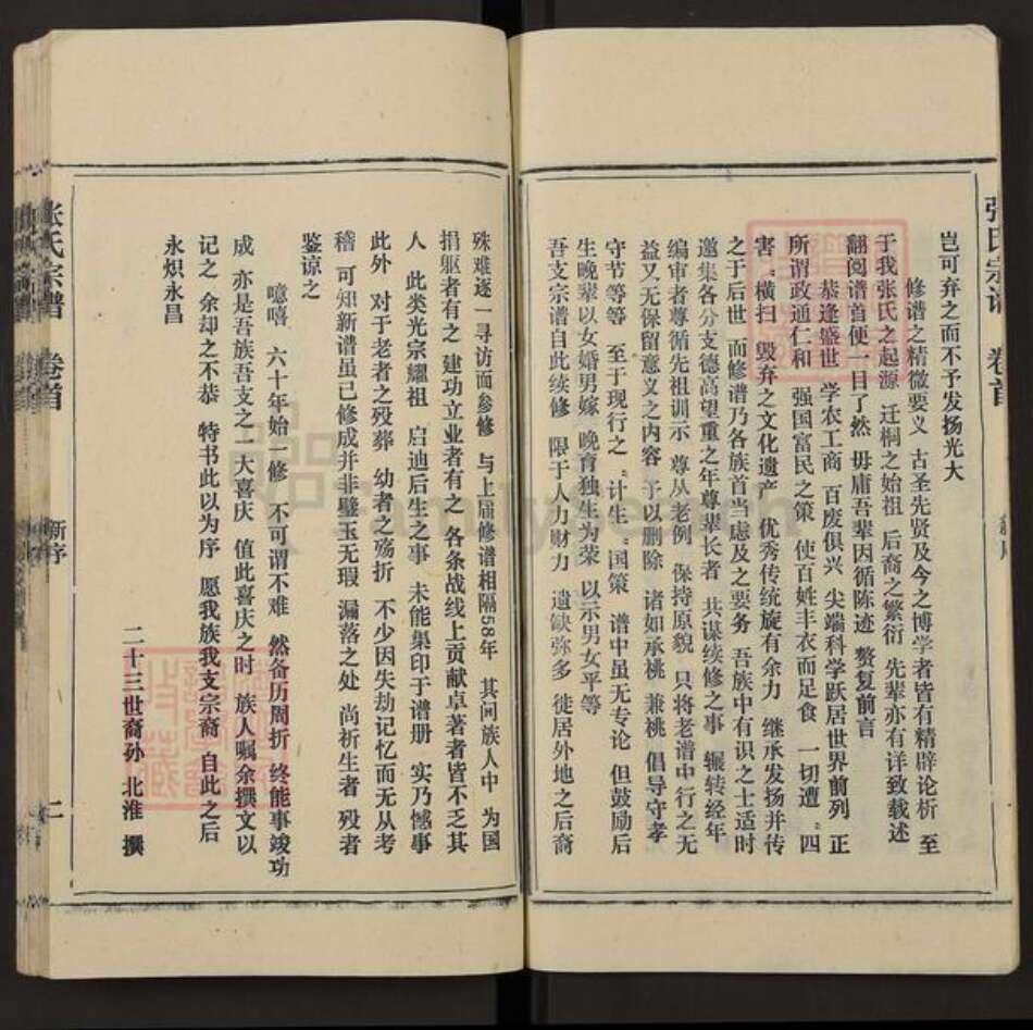 安徽省安庆市桐城市双港镇张氏族谱-张氏宗谱.pdf电子版预览图4