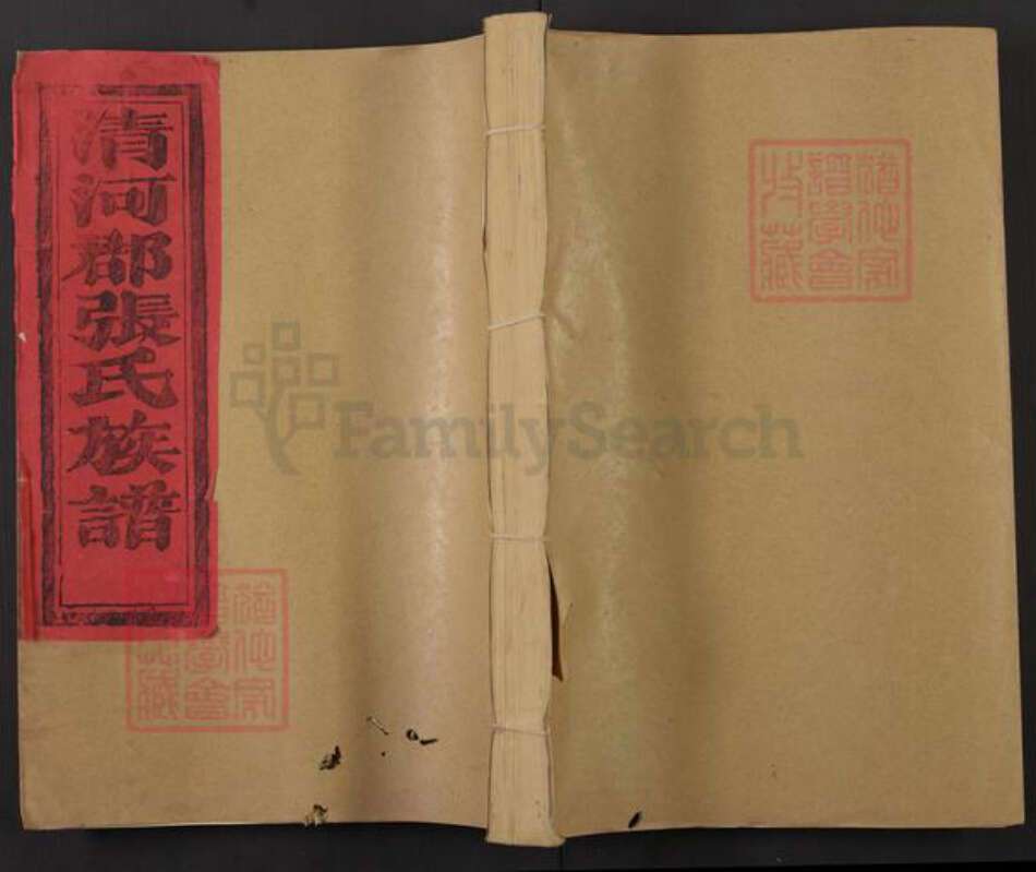 河北省邢台清河县张氏继志堂族谱-清河郡张氏族谱.pdf电子版缩略图