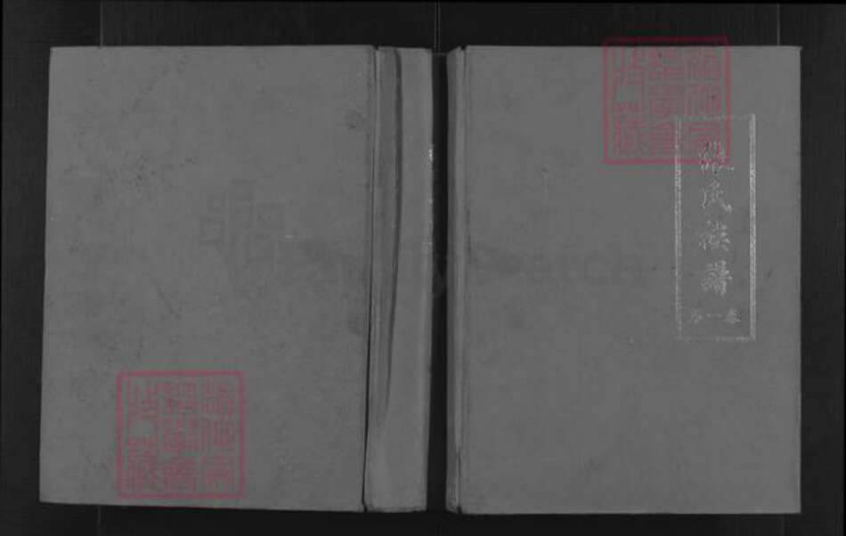 广东省韶关市始兴县顿岗镇张氏清河堂族谱-周所睦村张氏族谱.pdf电子版缩略图