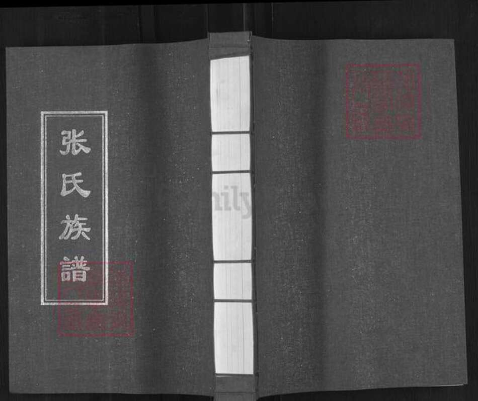 山东省青岛市即墨区蓝村镇张氏族谱-张氏族谱.pdf电子版缩略图