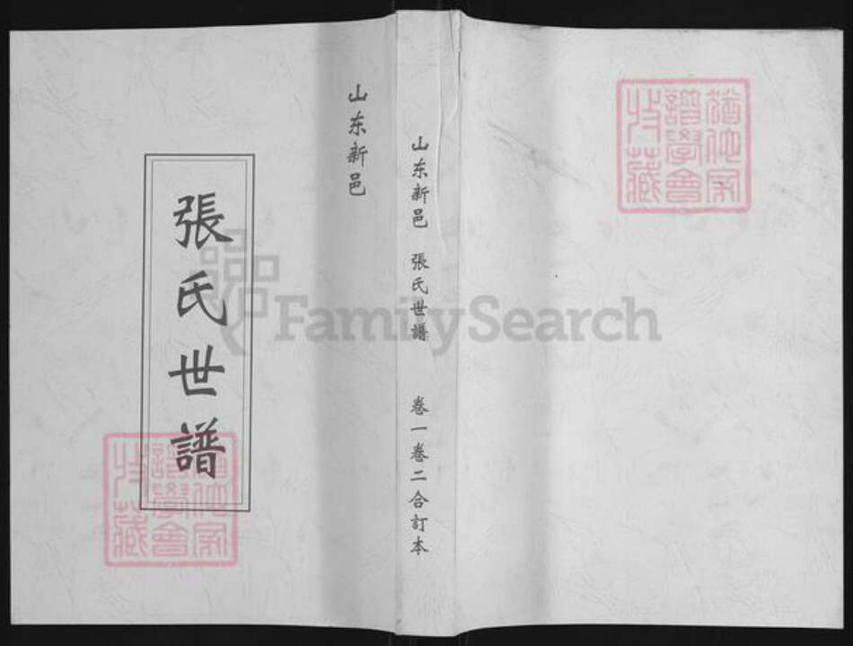 山东省淄博市张店区张氏族谱-张氏世谱.pdf电子版缩略图