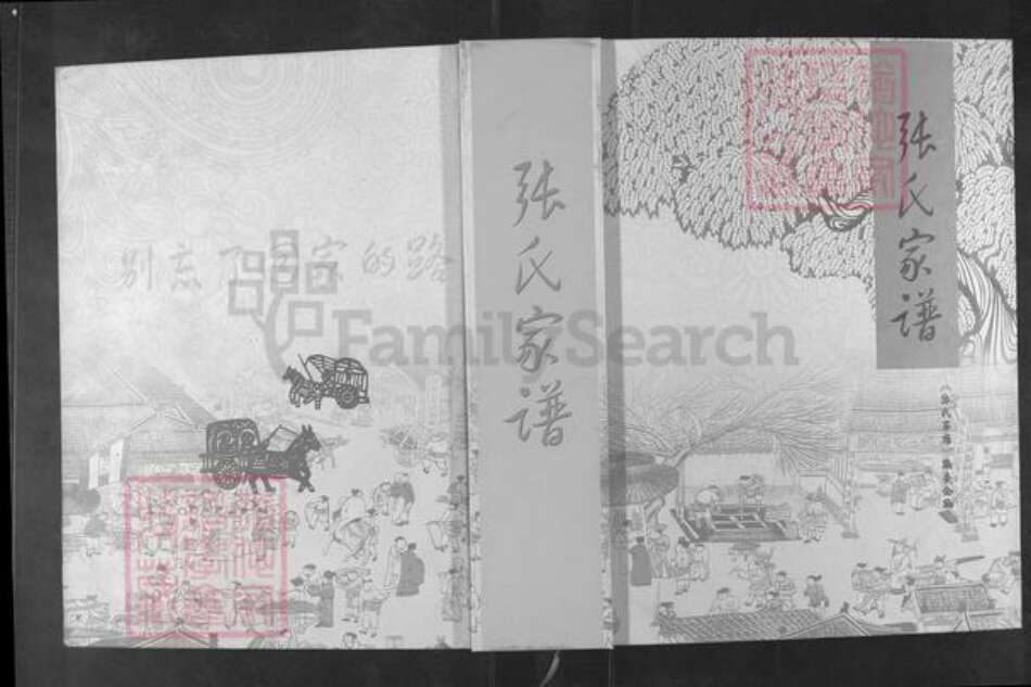 山东省滨州市滨城区张氏族谱-张氏家谱.pdf电子版缩略图