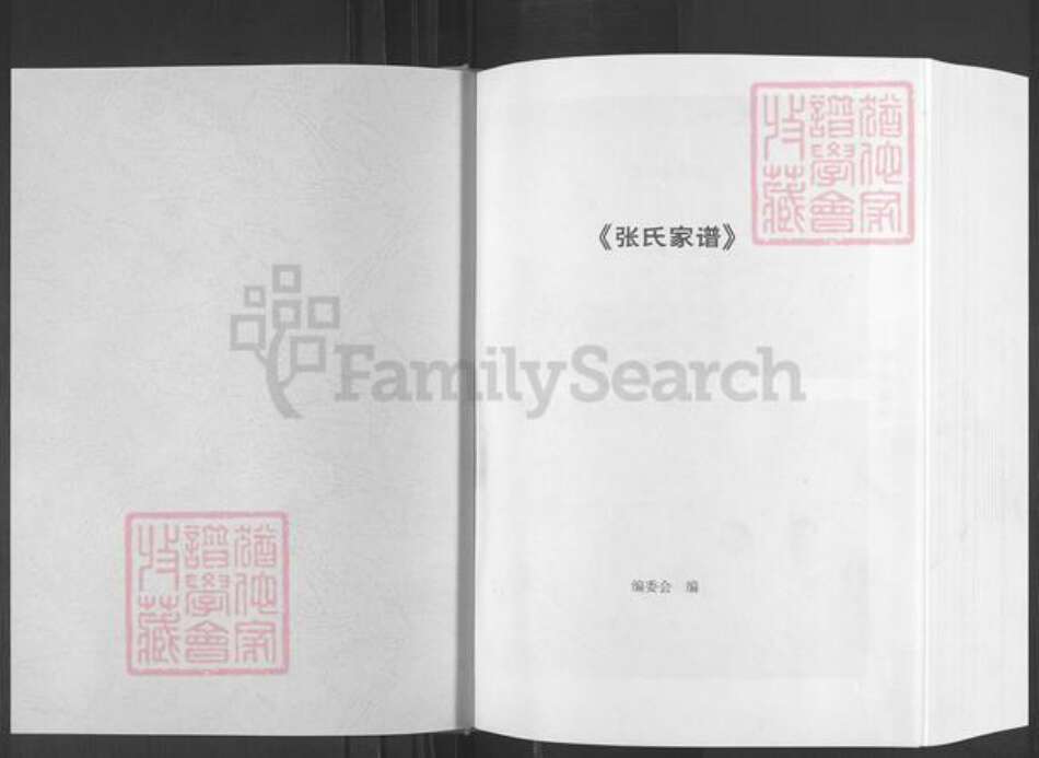 山东省滨州市滨城区张氏族谱-张氏家谱.pdf电子版预览图1