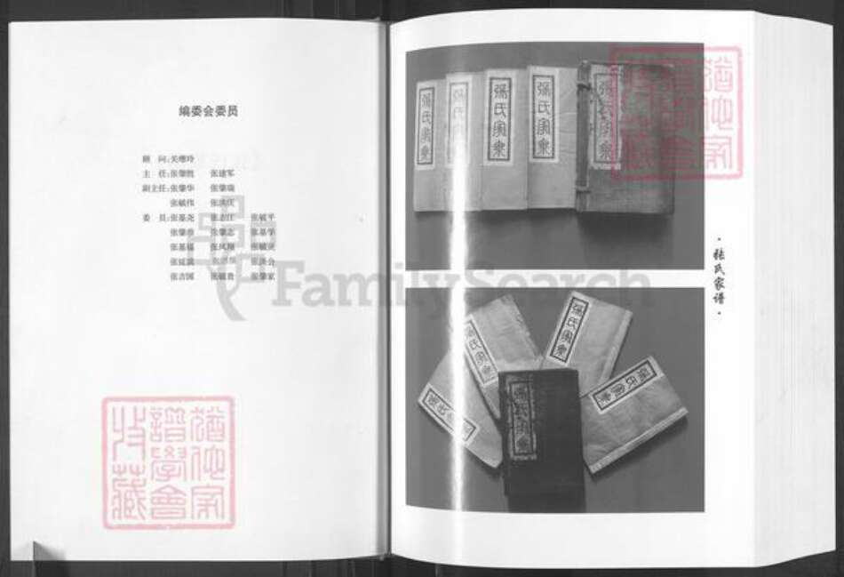 山东省滨州市滨城区张氏族谱-张氏家谱.pdf电子版预览图2