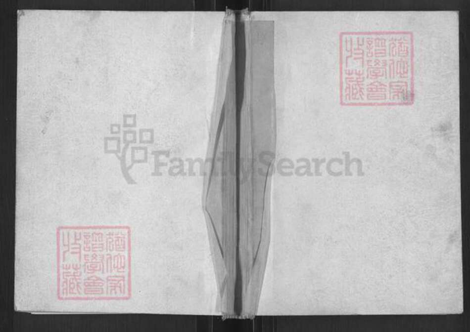 山西省临汾市浮山县天坛镇张氏族谱-诸葛张氏家谱.pdf电子版缩略图