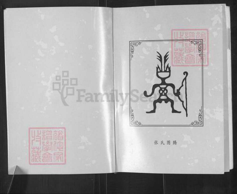 山西省临汾市浮山县天坛镇张氏族谱-诸葛张氏家谱.pdf电子版预览图2