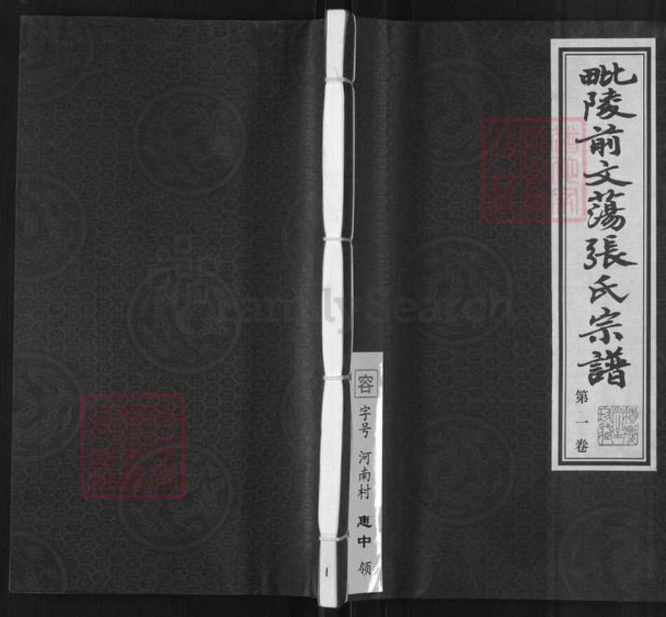 江苏省常州市武进县张氏积庆堂族谱-毗陵前文荡.张氏宗谱.pdf电子版缩略图