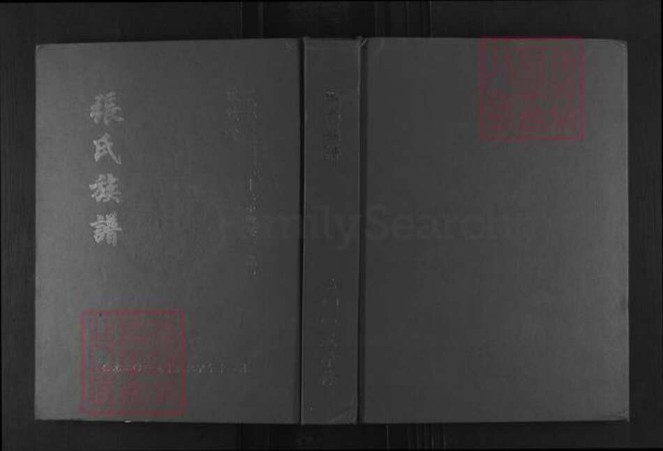 河南省郑州市登封市大冶镇张氏族谱-张氏族谱.pdf电子版缩略图