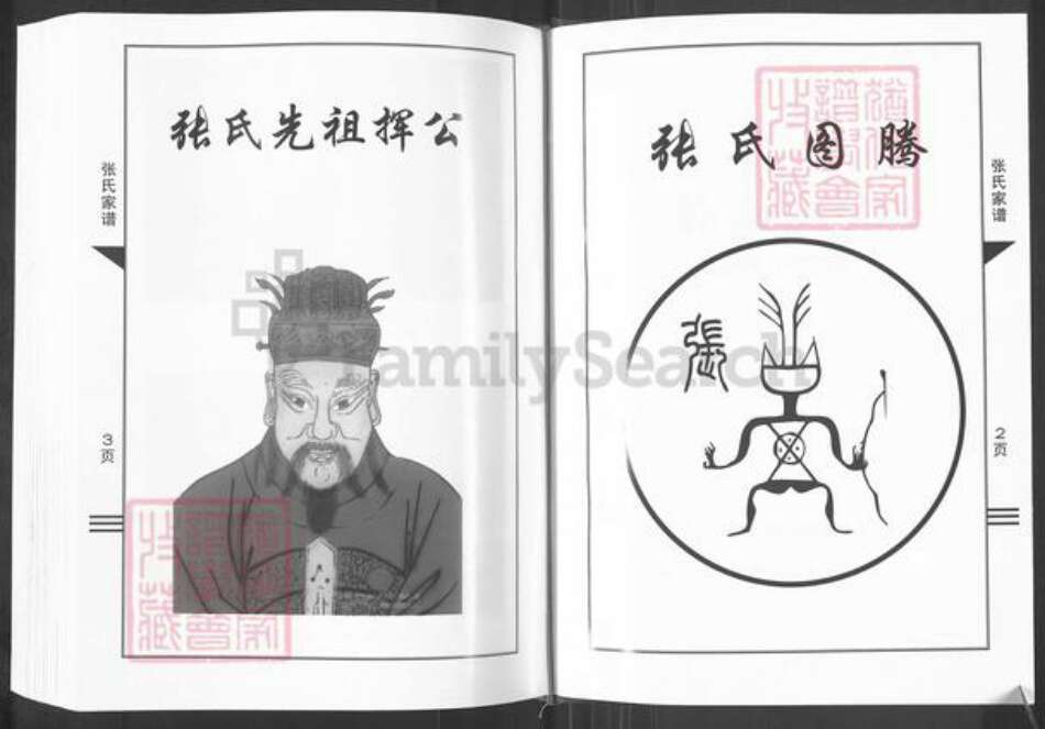 河南省郑州市登封市大冶镇张氏族谱-张氏族谱.pdf电子版预览图2