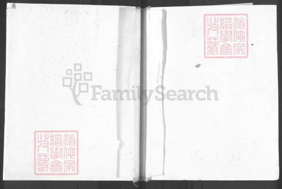 福建省南平市浦城县富岭镇张氏族谱-长滩张氏宗谱.pdf电子版缩略图