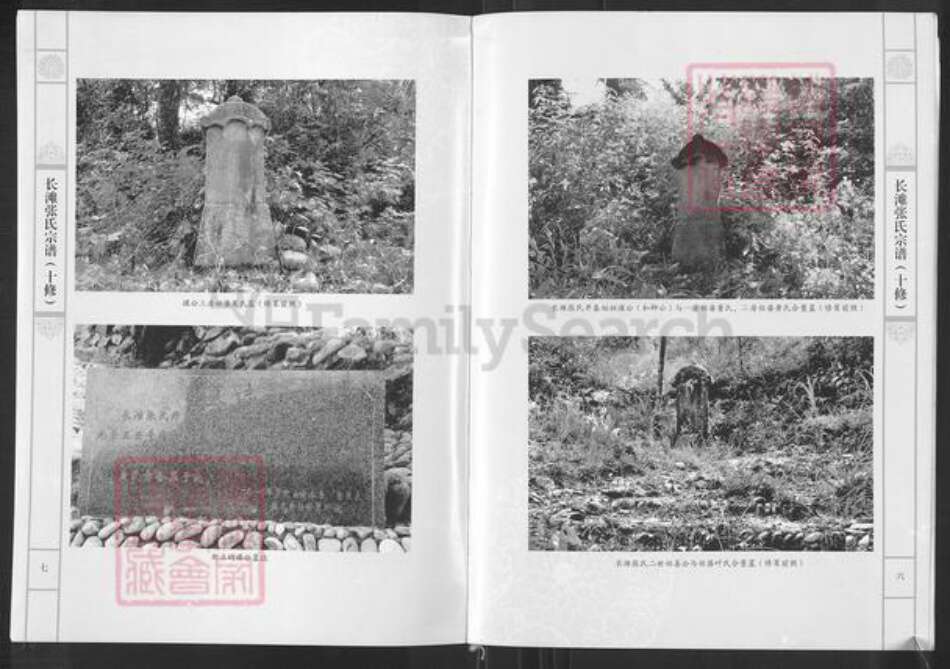 福建省南平市浦城县富岭镇张氏族谱-长滩张氏宗谱.pdf电子版预览图5