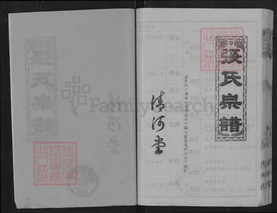 湖北省武汉市蔡甸区侏儒山街道张氏清河堂族谱-张氏宗谱.pdf电子版预览图2