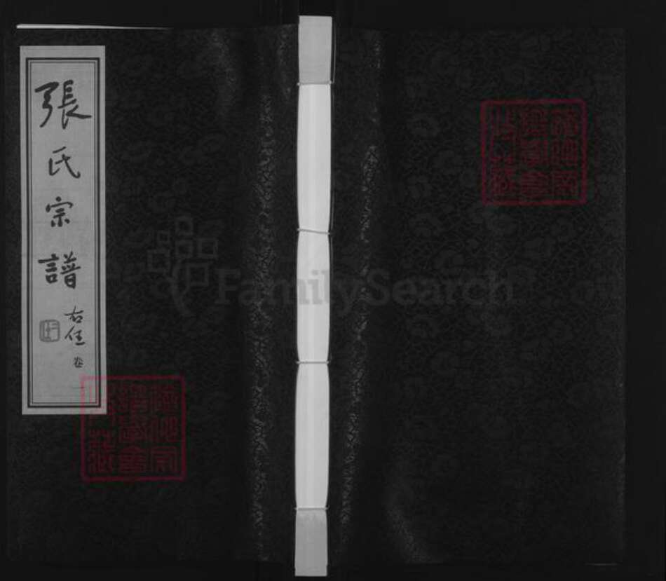 江苏省常州市金坛区朱林镇张氏仁德堂族谱-张氏宗谱.pdf电子版缩略图