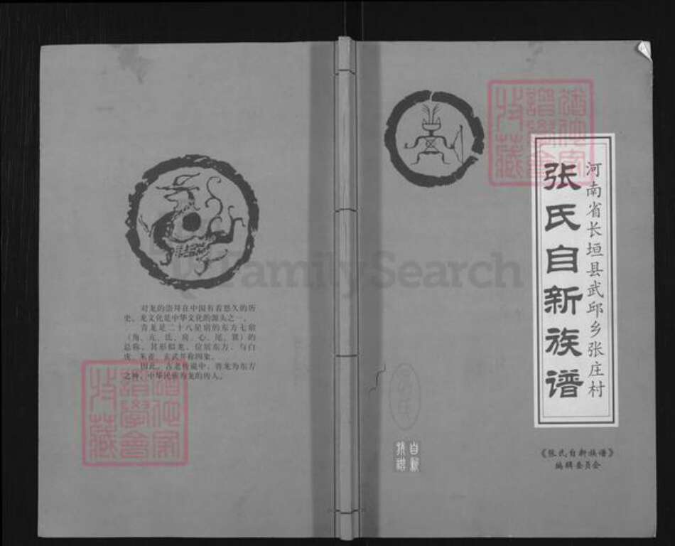 河南省新乡市长垣县武邱乡张氏族谱-张氏自新族谱.pdf电子版缩略图
