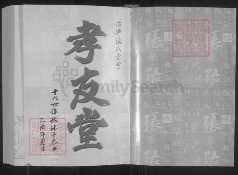 江苏省徐州市沛县张寨镇张氏孝友堂族谱-张氏族谱.大宗.pdf电子版预览图1