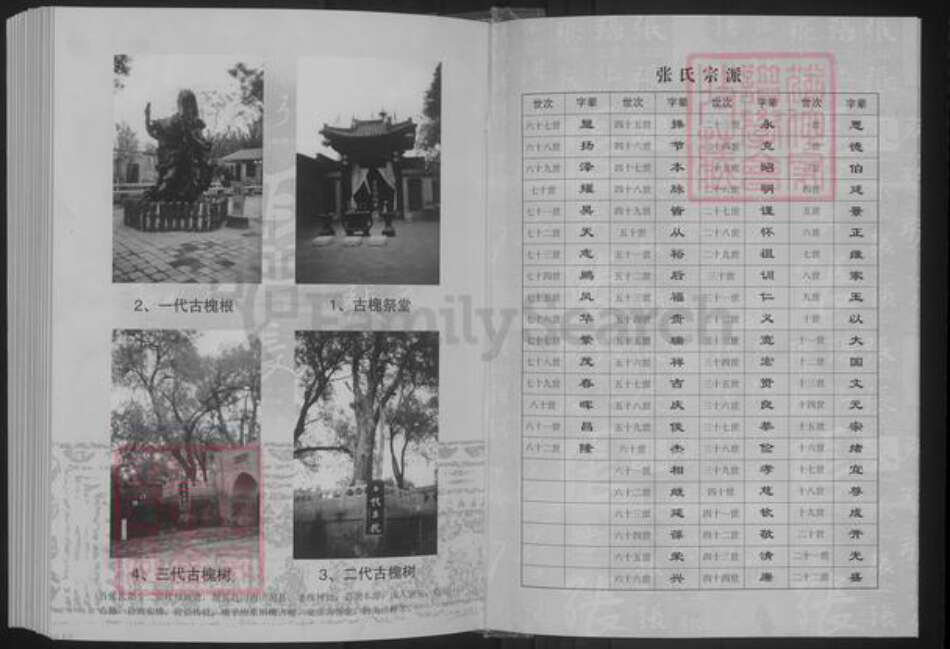 江苏省徐州市沛县张寨镇张氏孝友堂族谱-张氏族谱.大宗.pdf电子版预览图2