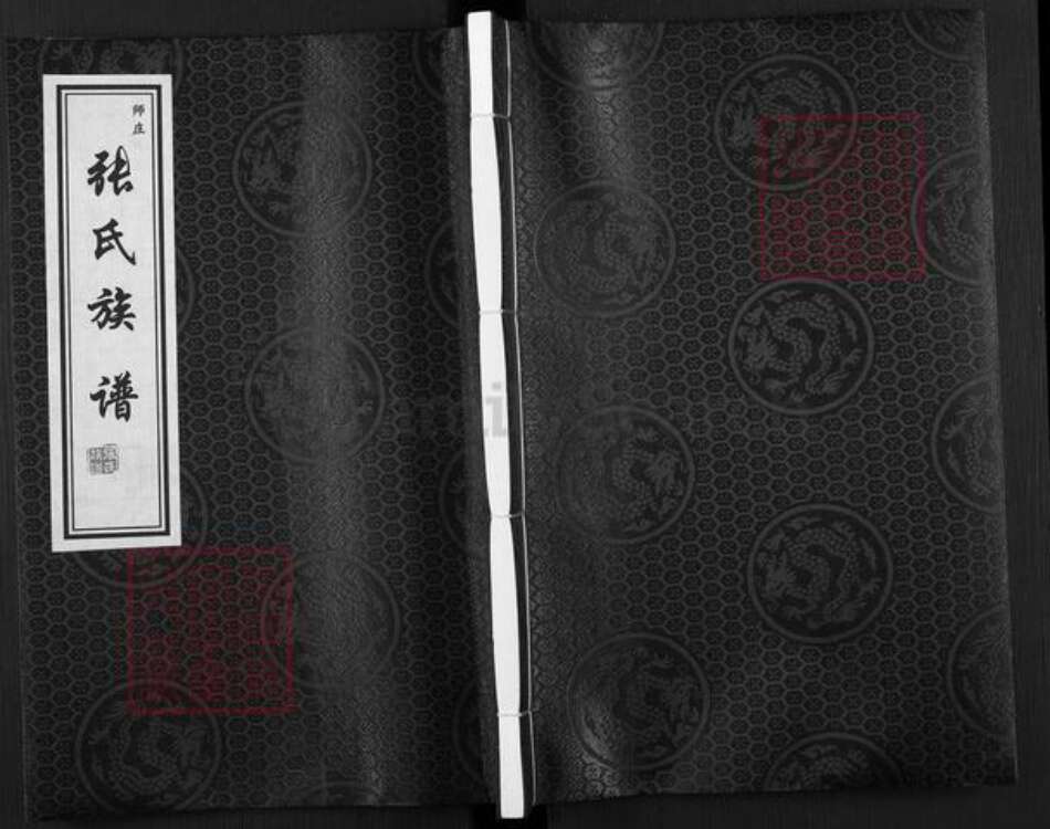 河北省保定市徐水区张氏族谱-张氏族谱.pdf电子版缩略图
