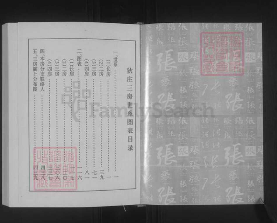 江苏省徐州市沛县沛城街道张氏族谱-张氏族谱.pdf电子版预览图1