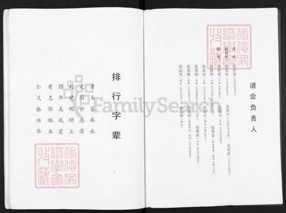 江苏省扬州市仪征市月塘镇张氏百忍堂族谱-张氏宗谱.pdf电子版预览图2