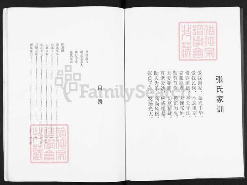 江苏省扬州市仪征市月塘镇张氏百忍堂族谱-张氏宗谱.pdf电子版预览图3