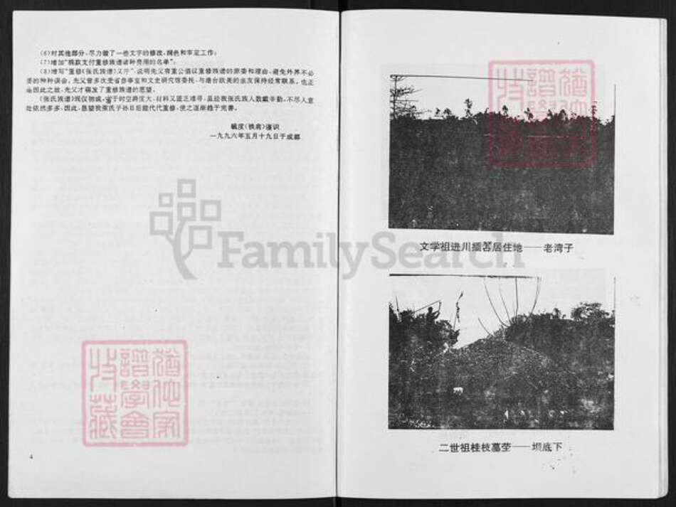 四川省达州市宣汉县大成镇张氏族谱-张氏族谱.pdf电子版预览图3