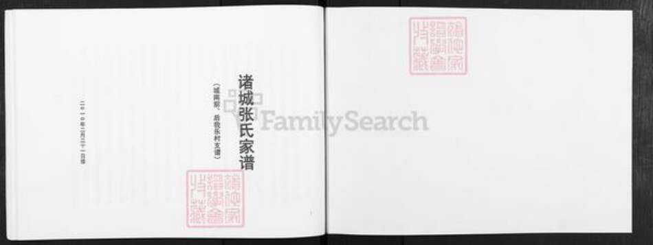 山东省潍坊市诸城市张氏族谱-诸城张氏家谱.城南前、后我乐村支谱.pdf电子版预览图1