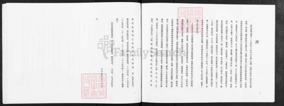 山东省潍坊市诸城市张氏族谱-诸城张氏家谱.城南前、后我乐村支谱.pdf电子版预览图2
