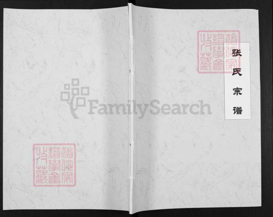 安徽省蚌端口市固镇县刘集镇张氏百忍堂族谱-张氏宗谱.pdf电子版缩略图