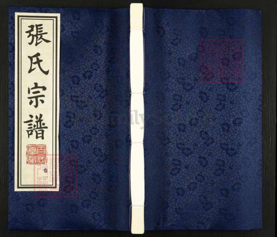 江苏省常州市武进县牛塘镇张氏百忍堂族谱-南望张氏宗谱.pdf电子版缩略图